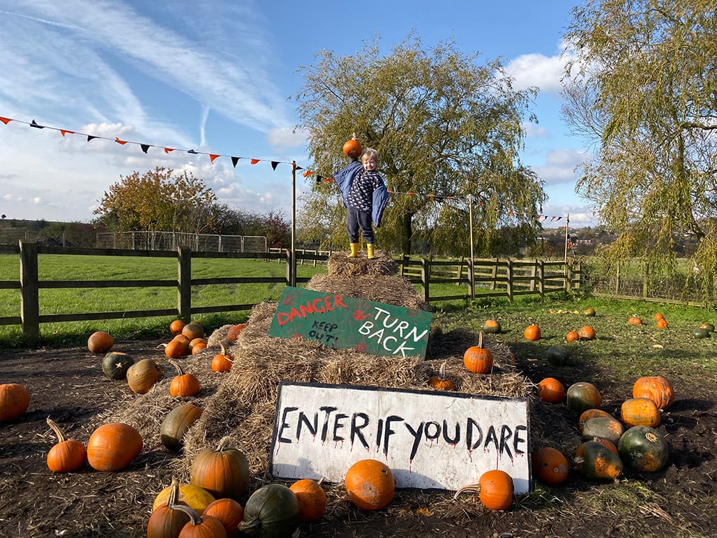 Cockfields Farm