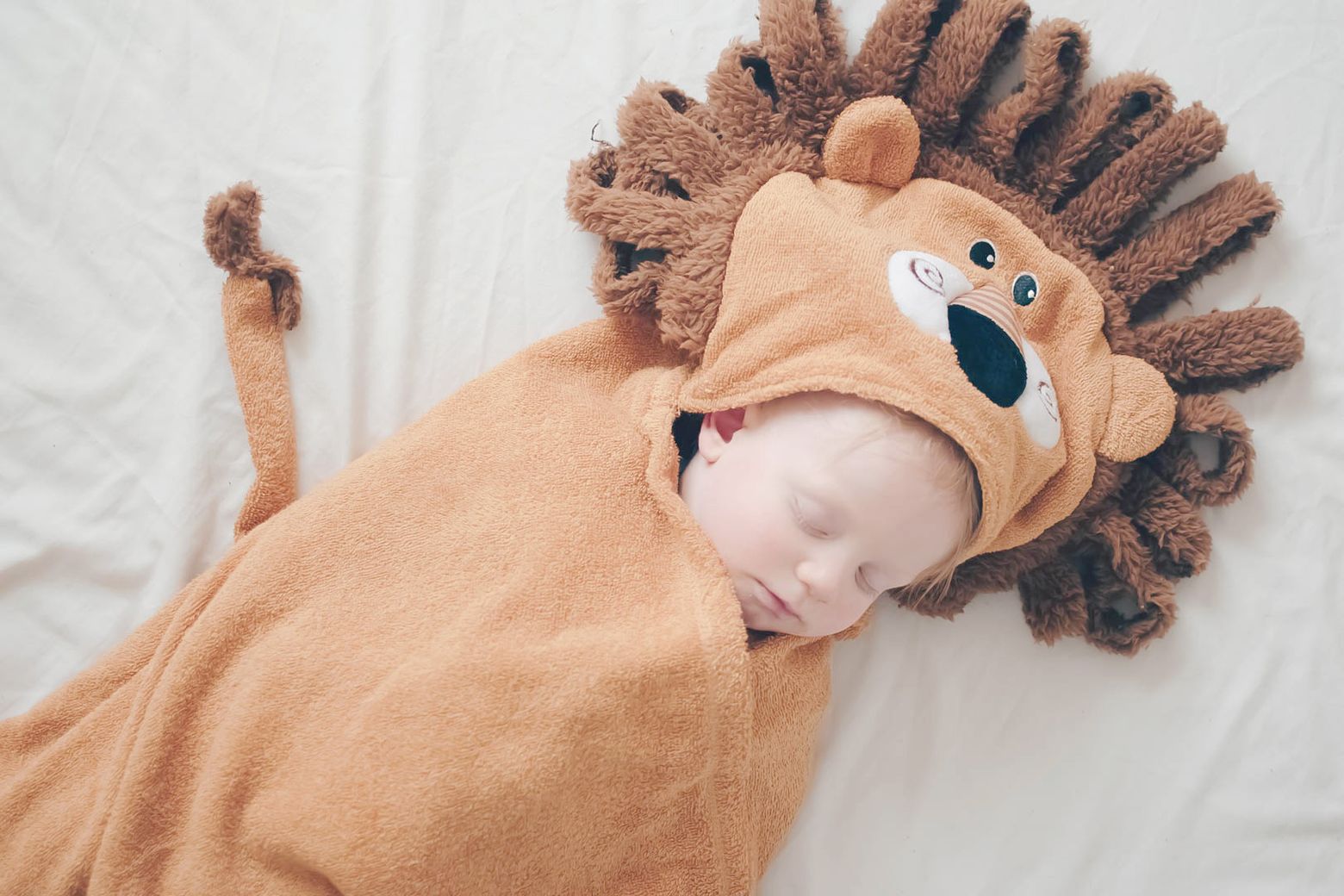 zoochini_lion_toddler_towel_00