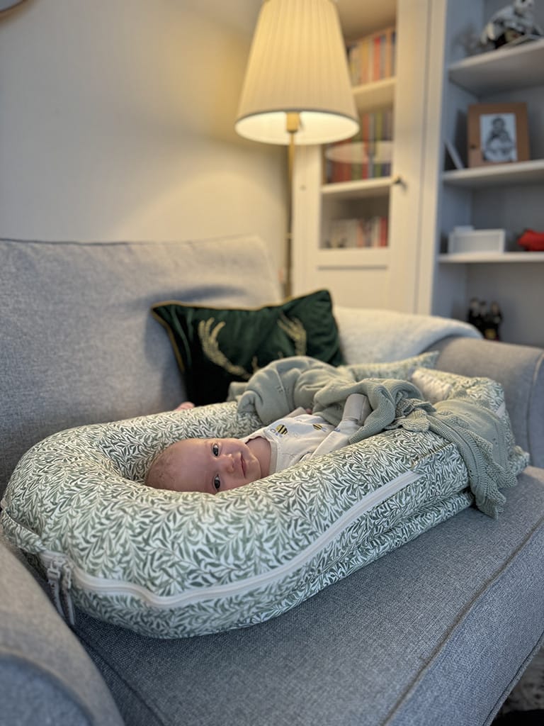 baby sleeping the dock-a-tot