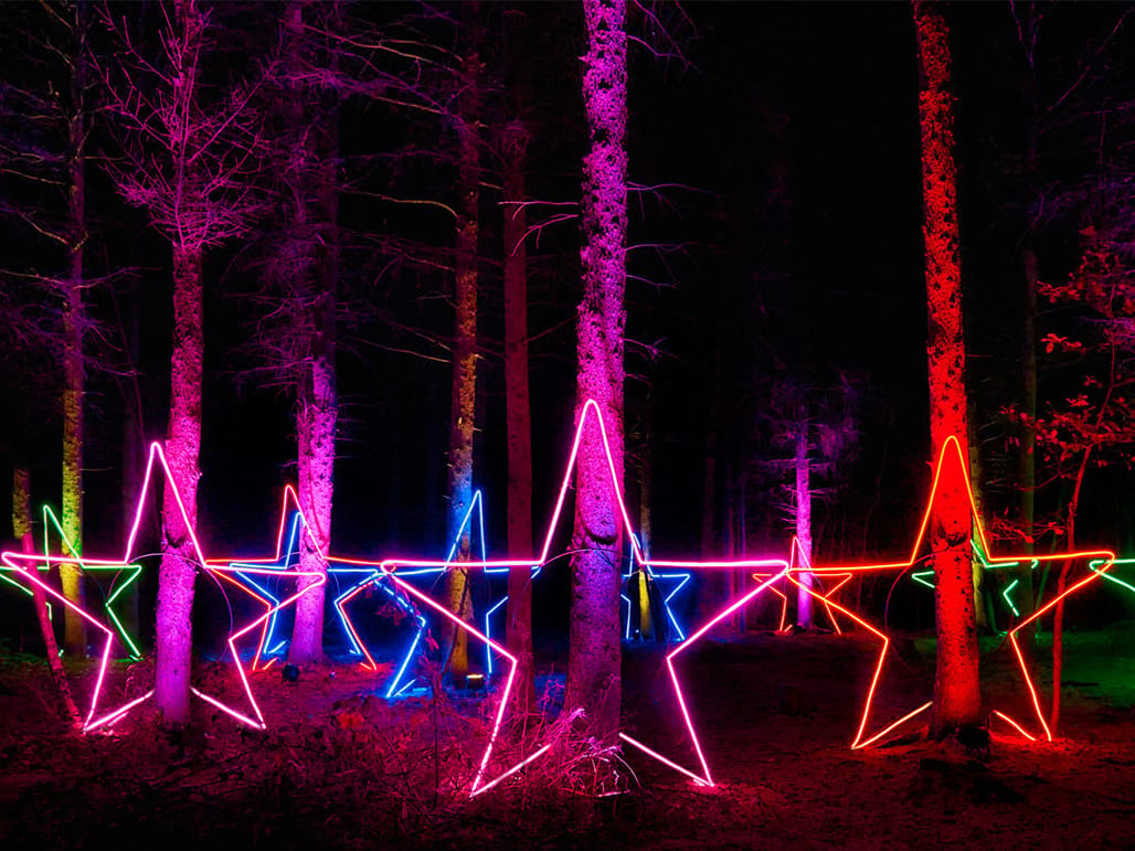 Dunham Massey Christmas