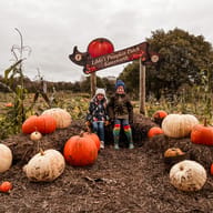Best Pumpkin Picking in the North West UK in 2025