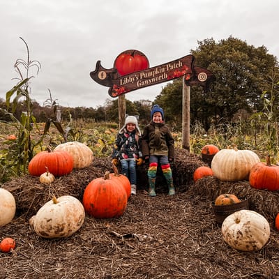 Best Pumpkin Picking in the North West UK in 2025