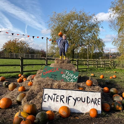 Two fun family days out on a budget within greater Manchester