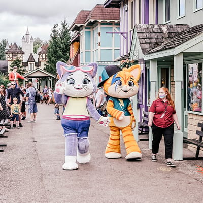 Meeting 44 Cats at Gulliver’s Kingdom Cheshire
