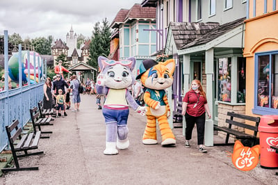 Meeting 44 Cats at Gulliver’s Kingdom Cheshire