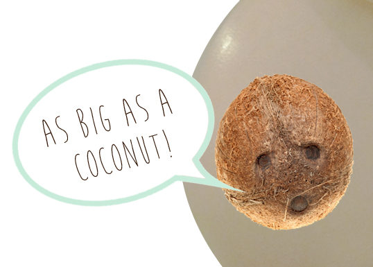 week_28_coconut