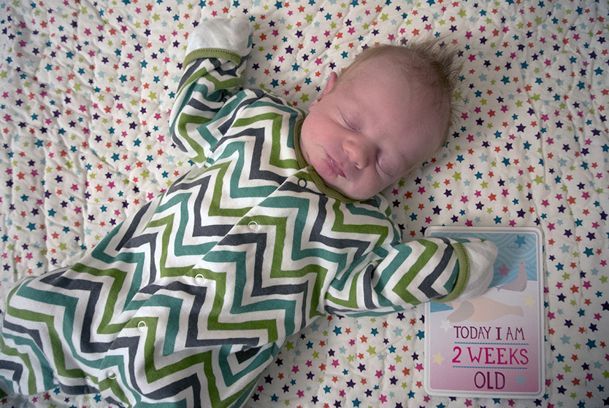 Taylor_2_weeks_3