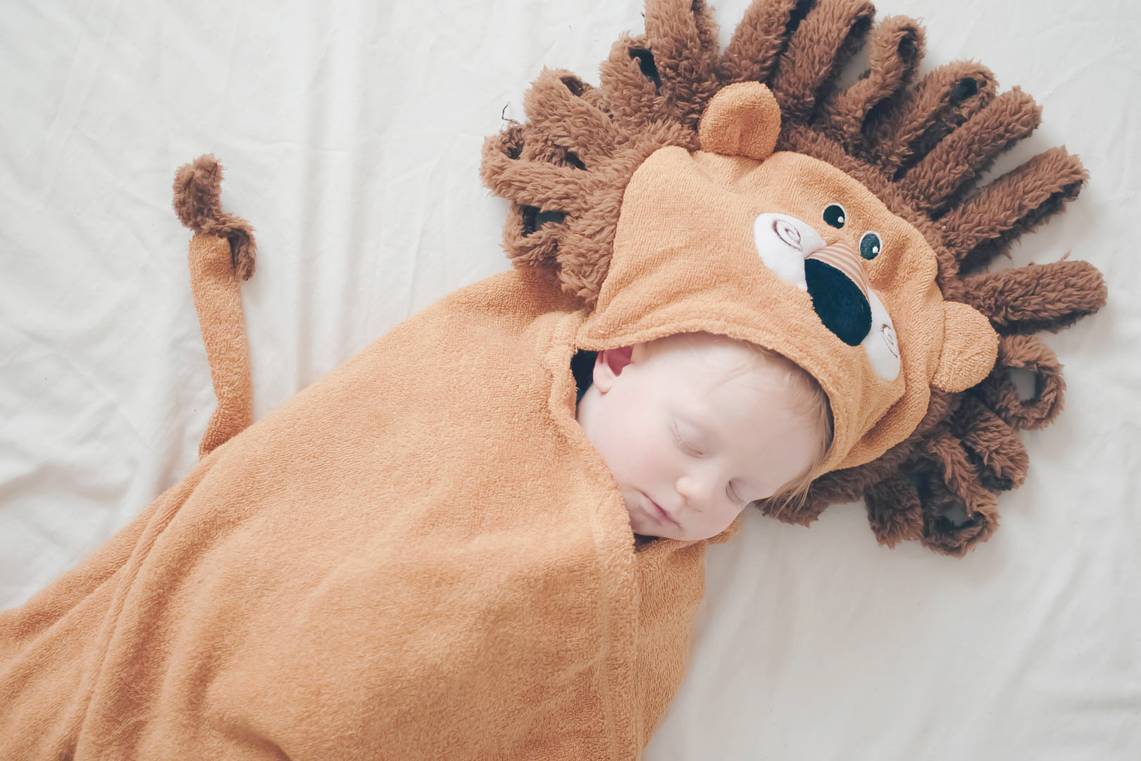 zoochini_lion_toddler_towel_00