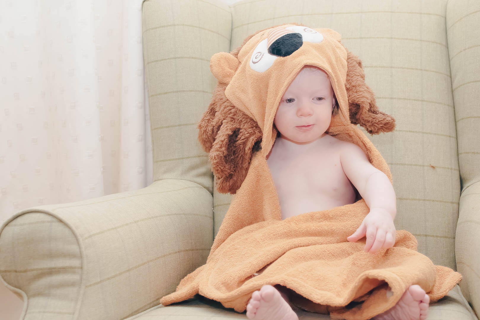 zoochini_lion_toddler_towel_03