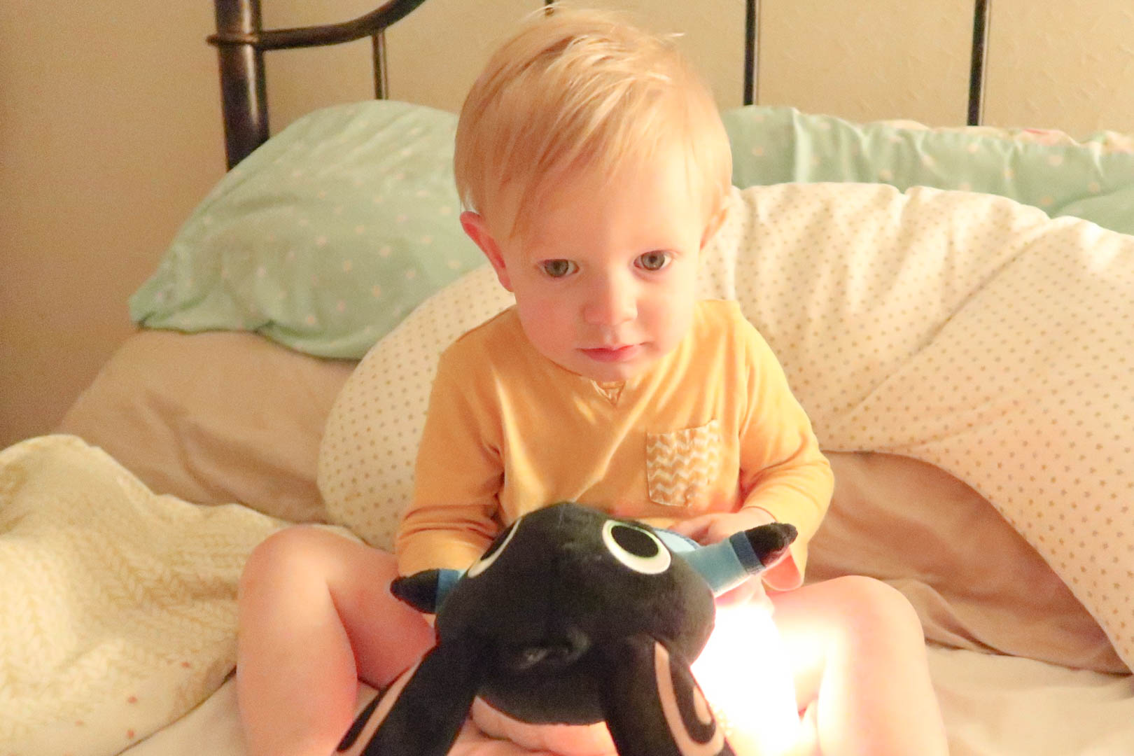 bing_owly_bedtime_fisherprice-7